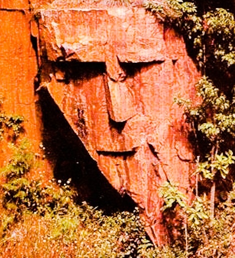Un rocher qui ressemble à un visage